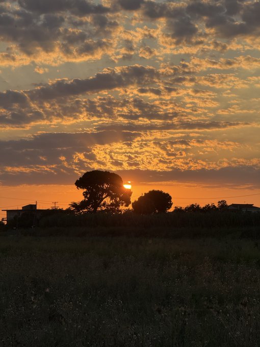 A sunset silhouette over a grassy field with trees and a dramatic orange, clouded sky.
