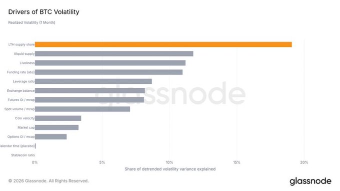 A Glassnode bar chart titled 'Drivers of BTC Volatility' showing realized volatility factors, with 'LTH supply share' highlighted in orange as the leading driver at nearly 20%.