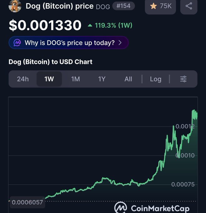 A CoinMarketCap screenshot showing the Dog (Bitcoin) DOG cryptocurrency price at $0.001330, up 119.3% over one week, with a green upward-trending chart.