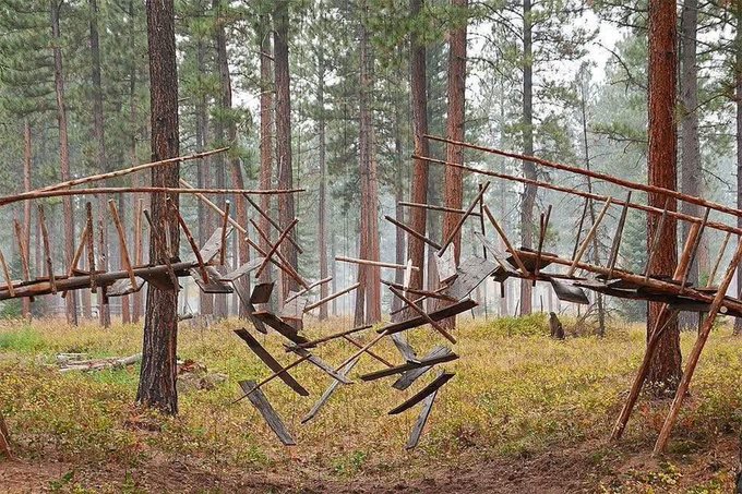 Abandoned wooden structure with collapsed planks sitting in a misty pine forest clearing.