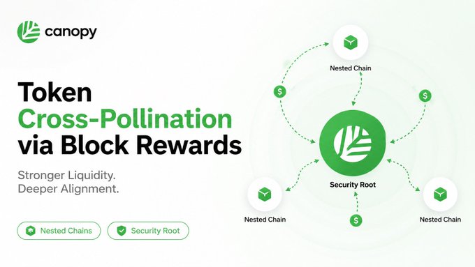 The image is a Canopy (CNPY) promotional graphic titled "Token Cross-Pollination via Block Rewards," featuring the tagline "Stronger Liquidity. Deeper Alignment." and showing a diagram of how tokens flow between a central "Security Root" and surrounding "Nested Chains." 

This visual illustrates the post's point about Canopy's innovative mechanism, where block rewards aren't confined to a single chain but instead enable value and liquidity to circulate between nested chains and the security root.