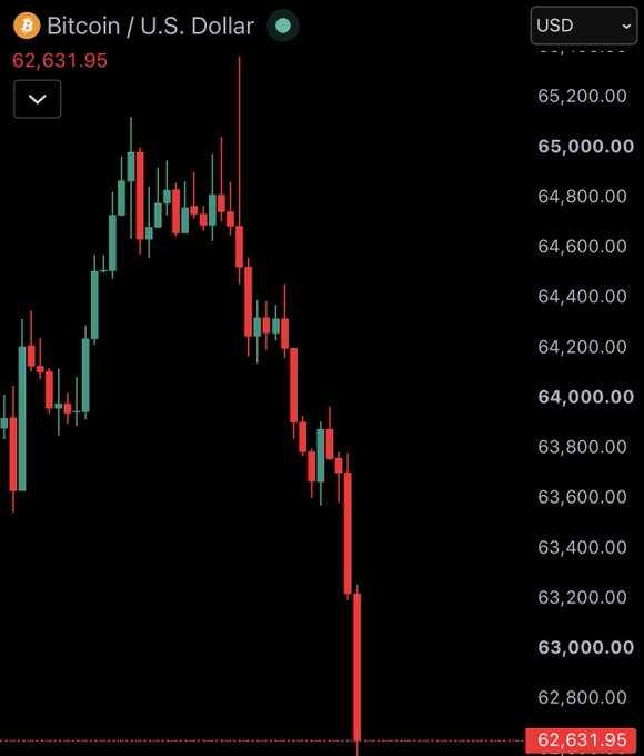 A Bitcoin/U.S. Dollar (BTC/USD) candlestick chart shows the price plunging from a high near $65,200 to $62,631.95, illustrating a sharp decline that visually supports the claim of Bitcoin being a "highly speculative asset with zero fundamental value."