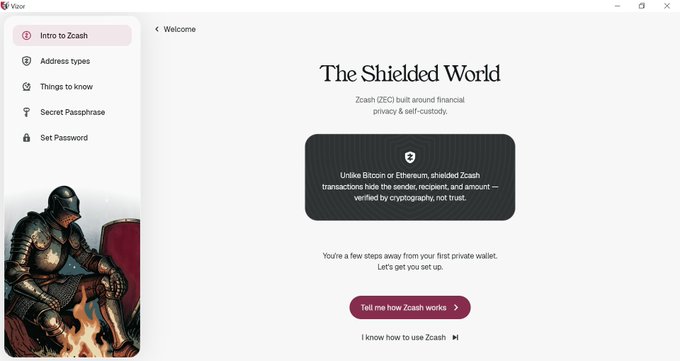 The image shows the Vizor desktop wallet's onboarding screen titled "The Shielded World," featuring a knight illustration on the left and tutorial options like "Tell me how Zcash works" and "I know how to use Zcash." The welcome screen introduces Zcash (ZEC) and explains that shielded transactions use cryptography rather than trust, aligning with the post's mention of Vizor's helpful introductory tutorial for newcomers.