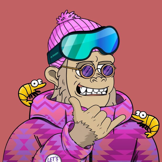 A cartoon illustration of a smiling monkey wearing a pink beanie with goggles, round purple sunglasses, and a pink patterned jacket, with two yellow caterpillars perched on its shoulders.