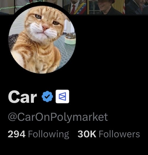 The image shows a Twitter/X profile for "Car" (@CarOnPolymarket) featuring an orange tabby cat avatar, with 30K followers and 294 following, and a verified blue checkmark. The profile corresponds to the subject of the post's allegations, which claims that Polymarket-affiliated user @williamlegate quietly restored this account's affiliate badge just over a month after a public scandal exposed the user as a scammer.