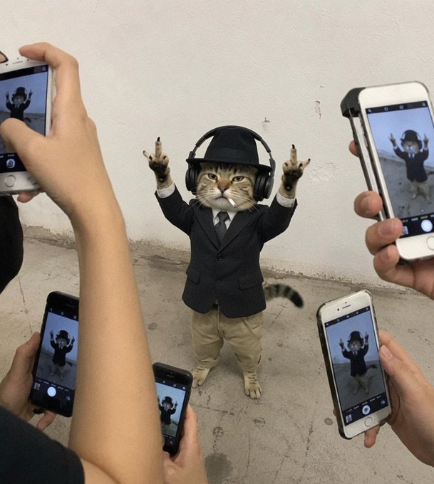 Humorous image of a cat wearing a black suit and headphones standing upright with both arms raised, surrounded by multiple smartphones photographing it from different angles.