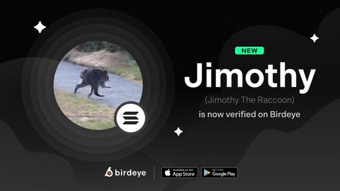 The image is a promotional graphic featuring a circular photo of a raccoon on the left, alongside text announcing "NEW Jimothy (Jimothy The Raccoon) is now verified on Birdeye," matching the accompanying post about the raccoon's Birdeye verification. The bottom of the image displays the Birdeye logo and App Store/Google Play download icons.