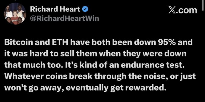 A screenshot of a tweet from Richard Heart (@RichardHeartWin) on X.com stating 'Bitcoin and ETH have both been down 95% and it was hard to sell them when they were down that much too. It's kind of an endurance test. Whatever coins break through the noise, or just won't go away, eventually get rewarded.'
