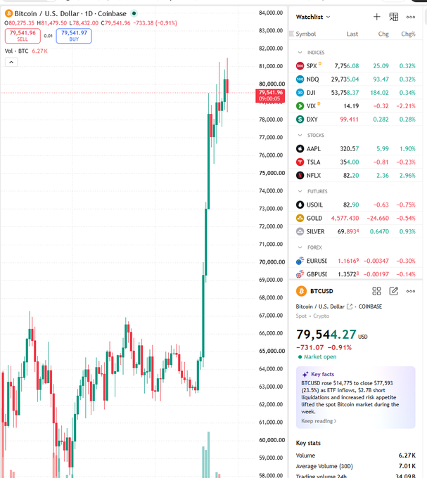A Bitcoin/USD daily candlestick chart on Coinbase showing BTC at approximately $79,541.96, down -733.38 (-0.91%), with a watchlist panel displaying indices (SPX, NDX, DJI, VIX, DXY), stocks (AAPL, TSLA, NFLX), futures (USOIL, GOLD, SILVER), and forex (EUR/USD, GBP/USD).