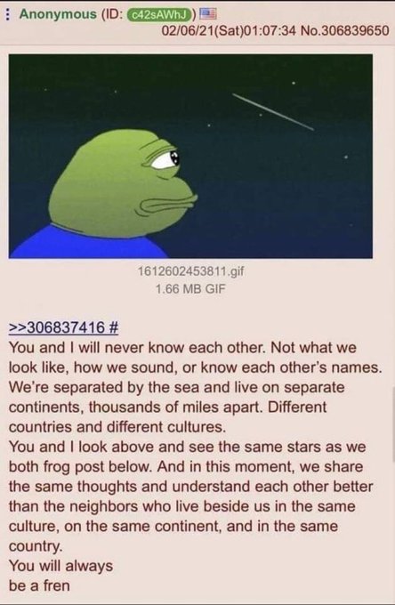 An image showing an Anonymous 4chan post (ID: c42sAWhJ) from 02/06/21 featuring the Pepe the Frog meme looking up at a shooting star, accompanied by a heartfelt message about strangers sharing the same sky. The post relates to the caption's message that memes like Pepe are enduring culture rather than fleeting trends, with the text referencing $PEPE as a cultural artifact that connects anonymous internet users across continents.