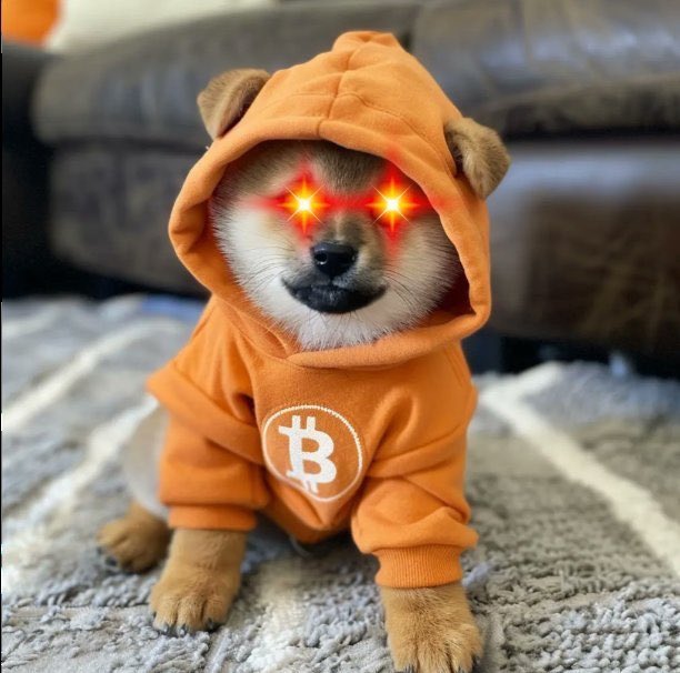A small dog, likely a Shiba Inu, wearing an orange hoodie with a Bitcoin logo and ears on the hood, with digitally added glowing red star-shaped eyes.