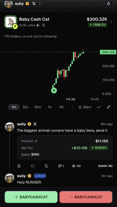 The image shows a trading screenshot of a meme coin called "Baby Cash Cat" ($BABYCASHCAT) which surged 1368.3% to a $300.32K market cap, with the trader's position showing $11.15K (+1019.6%) from a $996 spend—illustrating the post's claim of turning $1k into $11k in 18 minutes.