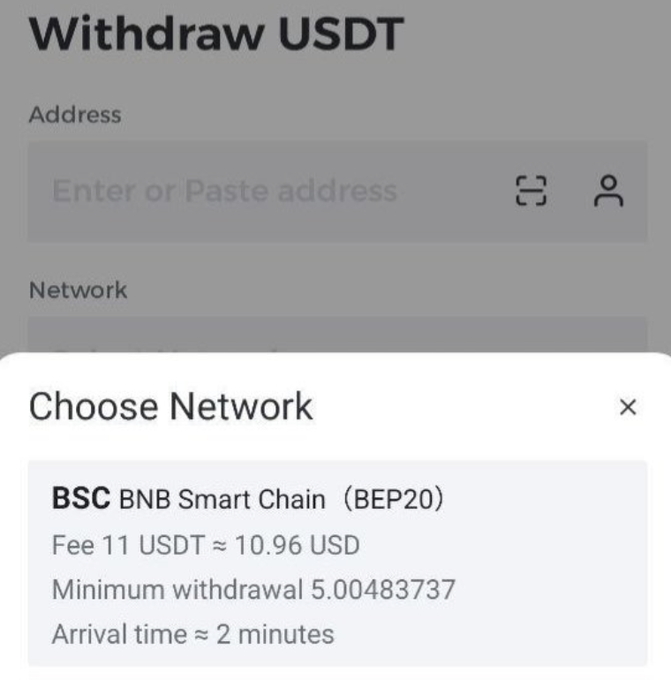 A cryptocurrency withdrawal interface showing 'Withdraw USDT' with a 'Choose Network' dialog selecting BSC (BNB Smart Chain BEP20), with a fee of 11 USDT (~10.96 USD), minimum withdrawal 5.00483737, and arrival time of approximately 2 minutes.