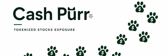 The image displays the "Cash Purr" logo with the tagline "Tokenized Stocks Exposure," accompanied by illustrations of paw prints featuring dollar signs, visually reinforcing the concept of combining cats with financial stock exposure mentioned in the accompanying post about the $PURR token collection.