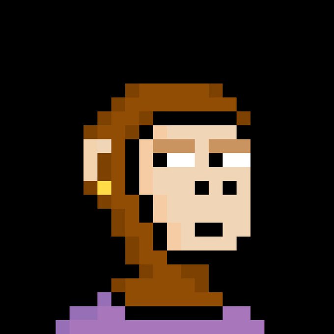 A pixel art portrait of a CryptoPunk character featuring brown hair, a headband, and a purple shirt against a black background.