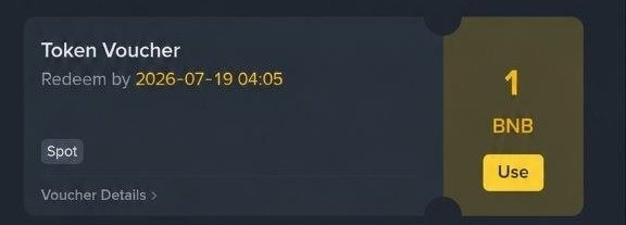 Screenshot of a Binance Token Voucher interface showing a 1 BNB spot voucher redeemable by 2026-07-19 04:05 with a 'Use' button.
