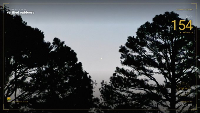 A dark photograph of trees against a twilight sky with overlay text 'verified outdoors', 'CURRENT STREAK 154', 'IMMORTAL', 'TOP 1%', 'STRAVA', and 'August 16, 86°' from the Touch Grass app.