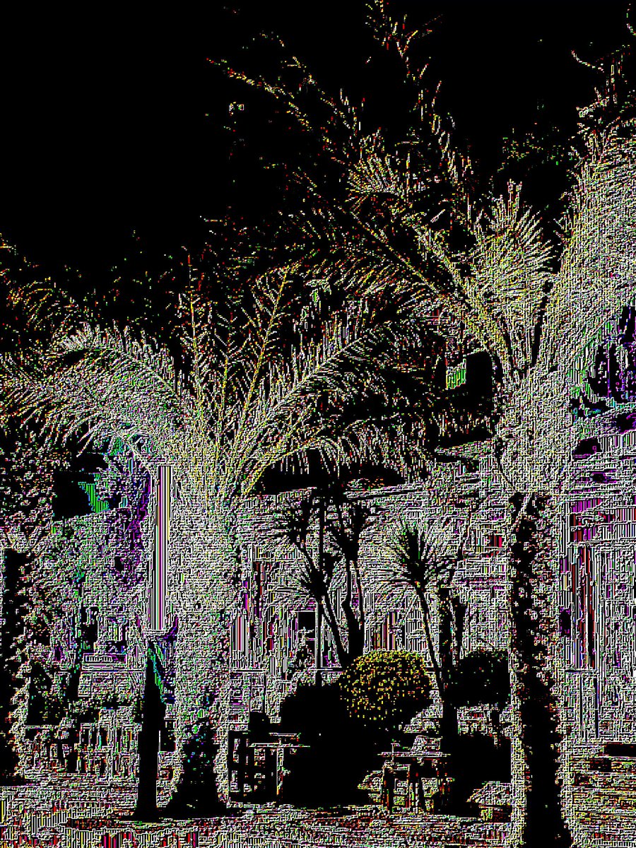 The image shows a nighttime scene of trees with white leaves, including palm trees, against a dark sky background. The photo has been edited using a filter that gives it a purple tint, making the colors appear more vibrant than they would be naturally. The image also contains text and logos related to the post "Gm PE-02 From PALM #proofofpalm @absurdeity & @objktcom".