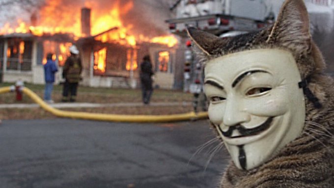 Photo featuring a person wearing a Guy Fawkes mask and cat ears in the foreground, with a house engulfed in flames and firefighters in the background.
