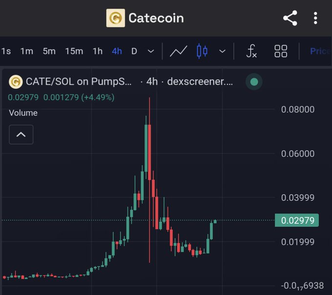 A candlestick chart for CATE/SOL (Catecoin) on PumpSwap showing a 4-hour timeframe with a current price of 0.02979, up 4.49%.