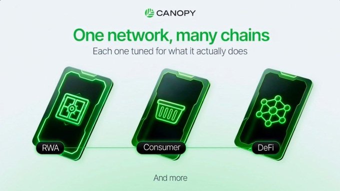 A Canopy promotional graphic reads 'One network, many chains - Each one tuned for what it actually does,' featuring three smartphone displays labeled RWA, Consumer, and DeFi with green blockchain-themed icons.