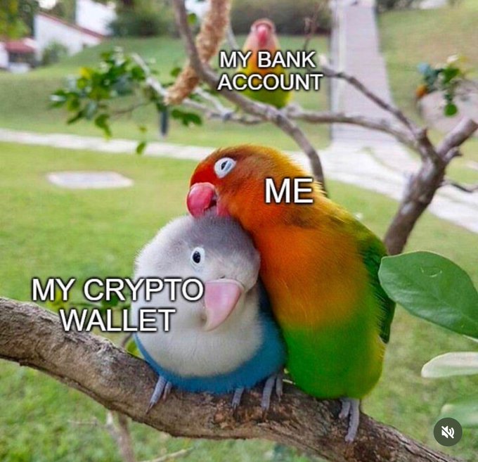 A meme featuring three lovebirds on a branch, humorously labeled: a small bird in the back as 'MY BANK ACCOUNT,' a colorful bird on the right as 'ME,' and a gray-and-blue bird cuddled up as 'MY CRYPTO WALLET.'