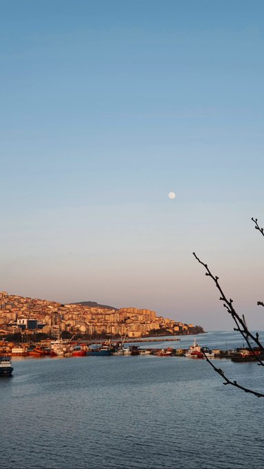 A harbor scene at dawn with a full moon hanging over a coastal town of densely packed buildings, fishing boats moored in calm waters, and bare tree branches framing the right side of the view.

The serene morning seascape contrasts with the post's energetic tech commentary—where bustling boats and a rising horizon mirror the idea of new activity and "delivery" taking shape, much like on-chain escrow bringing agents together to complete a transaction.