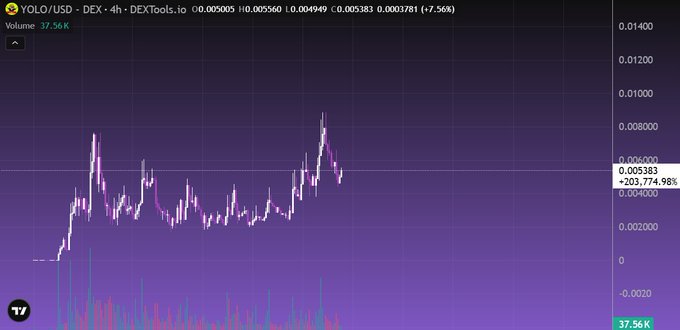 A 4-hour candlestick chart of YOLO/USD on DEXTools shows a relatively flat price action around $0.005-0.006, with an early surge followed by consolidation, aligning with the post's observation that YOLO's price has held steady while maintaining attention. The chart displays a 37.56K trading volume and a 203,774.98% gain since launch.