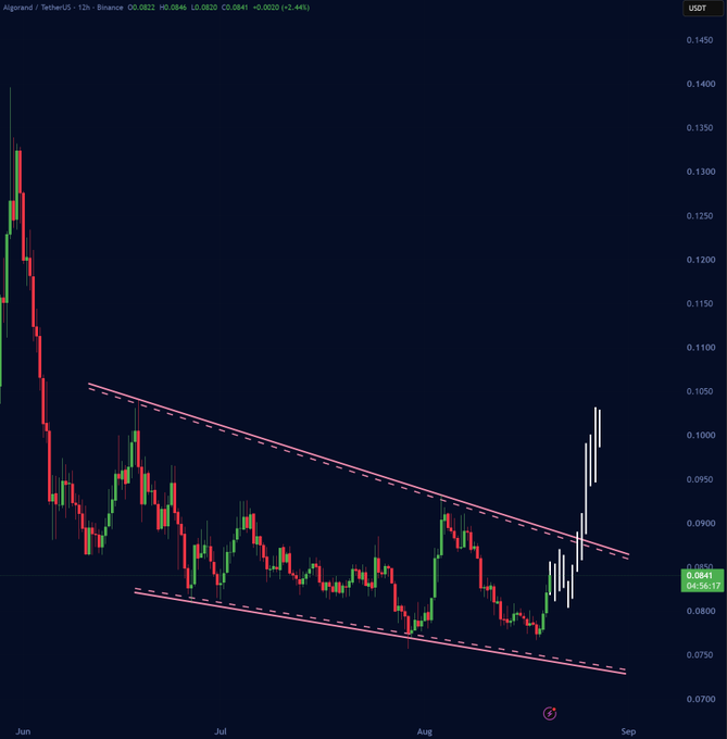 A candlestick chart for Algorand/TetherUS showing a descending channel pattern from June to August, with the price recently breaking upward above the trendline and trading at 0.0841.