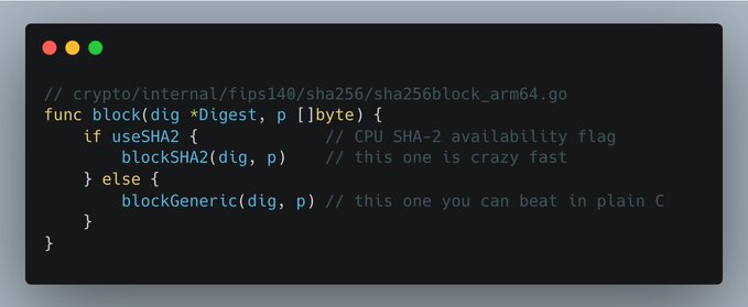 The image shows Go source code from `crypto/internal/fips140/sha256/sha256block_arm64.go`, specifically a `block` function that dispatches between `blockSHA2` (which uses ARM64 hardware acceleration via the `useSHA2` flag) and a generic `blockGeneric` implementation, illustrating Go's use of platform-specific optimizations for cryptography performance.