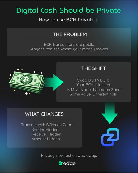 The image shows an infographic about the process of transferring Bitcoins from a private wallet to a public one using BCHx. It features a green Bitcoin and two stacks of money, symbolizing a user's private and public Bitcoins. Each stack represents a Bitcoin transaction in the process. The infographic explains how BCHx helps users securely transfer their Bitcoins by swapping into a 1:1 private asset on Zano's platform, which allows them to maintain control over their private currency while transferring it to a public one for use in exchange markets.