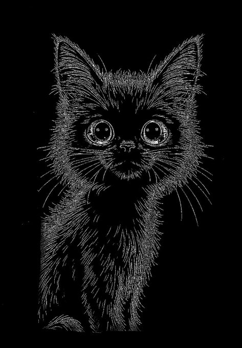 A black and white sketch-style illustration depicts a wide-eyed kitten with detailed fur drawn in white lines against a solid black background.