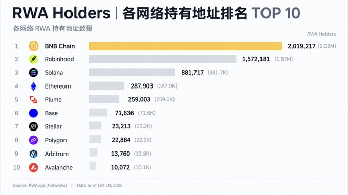 A chart titled "RWA Holders | 各网络持有地址排名 TOP 10" showing BNB Chain leading with 2,019,217 holders, followed by Robinhood, Solana, Ethereum, and others.