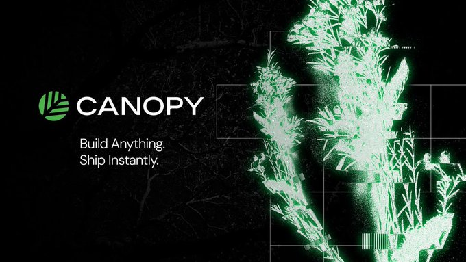 A promotional graphic for 'CANOPY' with the tagline 'Build Anything. Ship Instantly.' next to a green, glitchy wireframe graphic of a figure.
