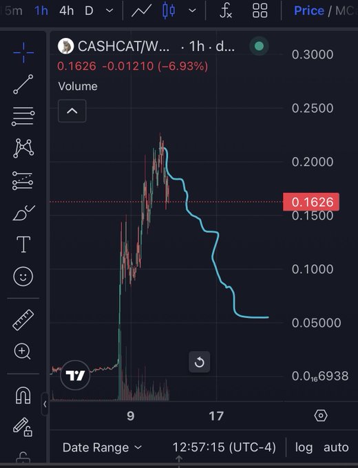 A 1-hour price chart for $CASHCAT/W shows a steep 6.93% decline, currently at 0.1626 after peaking near 0.2500, illustrating the bearish price action referenced in the post.