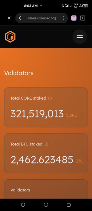 A mobile screenshot of stake.coredao.org showing a Validators page with 'Total CORE staked: 321,519,013' and 'Total BTC staked: 2,462.623485' on an orange background.