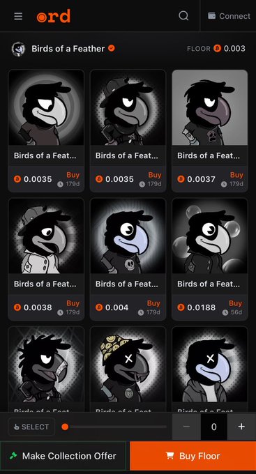 The Ordinals marketplace interface displaying a 'Birds of a Feather' NFT collection with multiple character listings priced in ETH and a 'Buy Floor' option at the bottom.