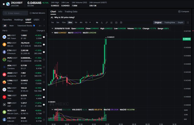 A cryptocurrency trading interface on ZBG Exchange showing the ZIG/USDT pair trading at 0.046446, up 9.73%, with a candlestick chart and market movers list on the left side.