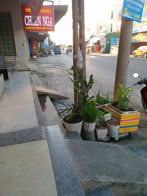 A street scene on a sunny day showing a sidewalk next to a road, with potted plants lining the walkway and a red sign reading 'HIỆU VÀNG CHƯ AN GIA'.