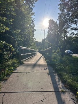 A sunlit concrete path with a wooden railing leads through trees, with sunlight creating a starburst effect at the end of the walkway.
