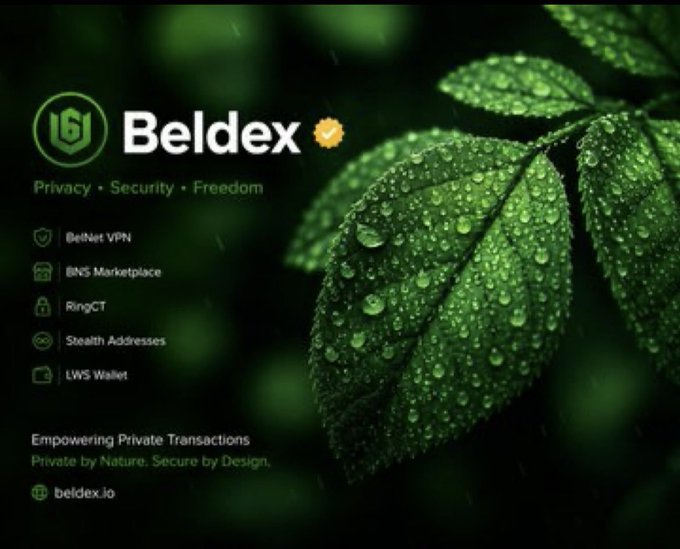 A dark green promotional graphic for 'Beldex' with the tagline 'Privacy • Security • Freedom', listing services including BelNet VPN, BNS Marketplace, RingCT, Stealth Addresses, and LWS Wallet, with the URL beldex.io.