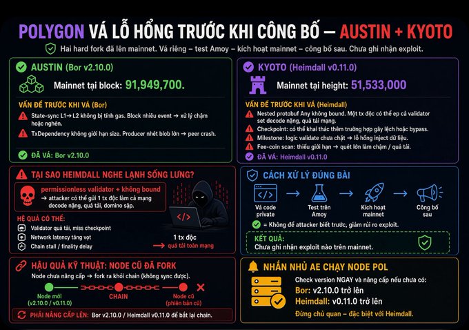 An infographic in Vietnamese titled 'POLYGON VÀ LỖ HỔNG TRƯỚC KHI CÔNG BỐ – AUSTIN + KYOTO' detailing blockchain hard fork information.