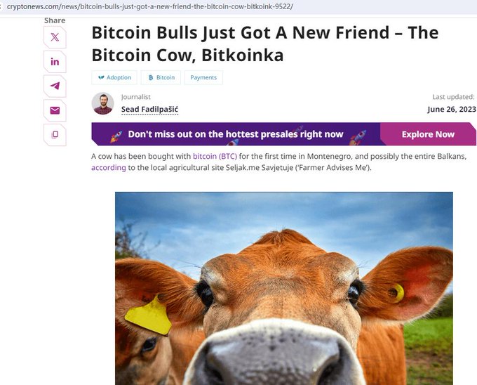 A cryptonews.com article titled 'Bitcoin Bulls Just Got A New Friend – The Bitcoin Cow, Bitkoinka' by Sead Fadilpašić dated June 26, 2023, about a cow purchased with bitcoin in Montenegro, accompanied by a close-up photo of a brown cow with a yellow ear tag.