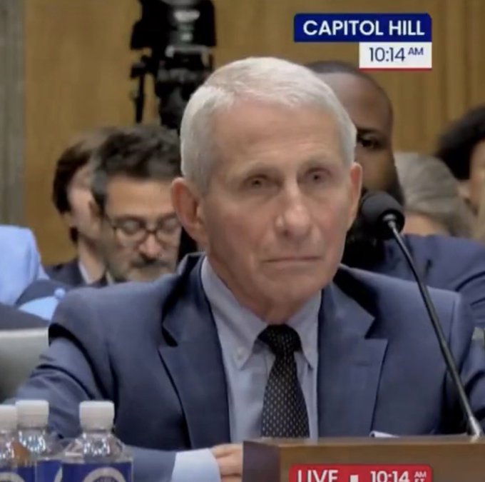 A live broadcast from Capitol Hill at 10:14 AM shows Dr. Anthony Fauci testifying before Congress with a microphone in front of him.