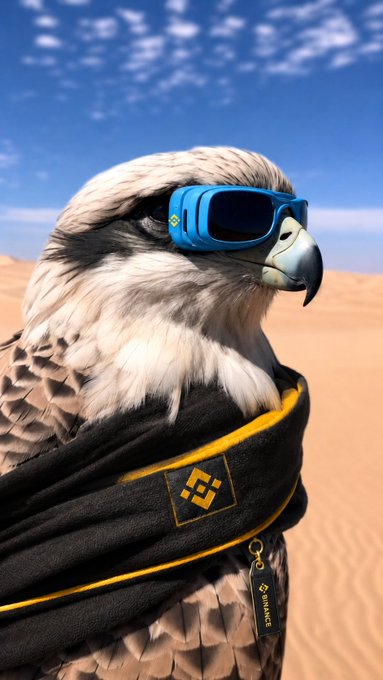 The image features a majestic eagle with its wings spread wide, wearing sunglasses and a scarf around its neck while perched atop a sandy dune. The background consists of a desert landscape under a clear blue sky. The caption reads "Desert royalty, Binance energy. Where tradition meets the future of crypto". This implies that the eagle is associated with the cryptocurrency world or perhaps symbolizes the blending of traditional and modern elements in this context.