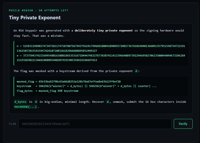 The screenshot shows a cryptography challenge called "Tiny Private Exponent" from Hack The Box (Puzzle #58250), presenting an RSA keypair problem where a small private exponent was used to mask a flag, alongside a comment expressing frustration about not being able to connect a wallet to place a small monetary bet on something.
