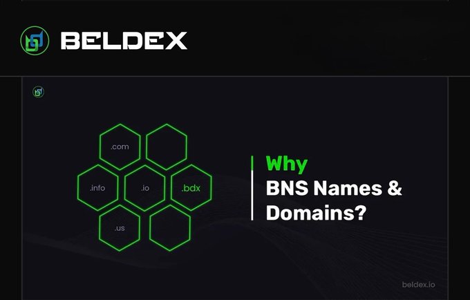 A promotional slide for 'BELDEX' featuring green hexagonal graphics and the text 'Why BNS Names & Domains?'