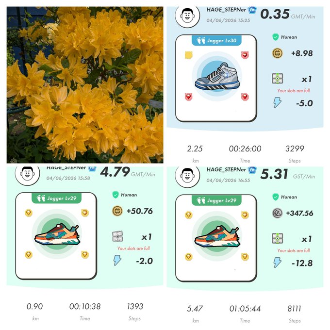 ids of images, one of which is a picture of yellow flowers with a pair of shoes on top of them.