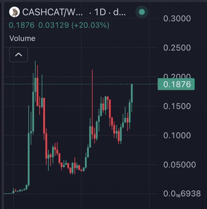 The image shows a 1-day candlestick chart for the CASHCAT/W token trading at 0.1876, up 20.03% (0.03129), with price action ranging from lows around 0.0500 to highs near 0.2200. The recent strong upward momentum visible on the chart suggests bullish sentiment, aligning with the post's optimistic outlook on $CASHCAT reaching a 1 billion market cap.