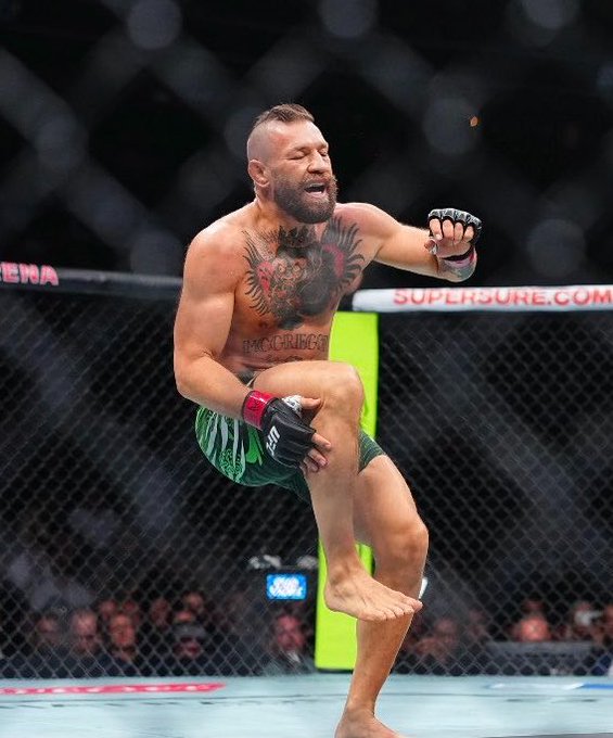 A shirtless, tattooed MMA fighter with a beard and mohawk celebrates inside the octagon, wearing green shorts and MMA gloves. The cage shows 'SUPERBRE.COM' branding in the background.